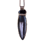 Orthoceras Fossil & Black Onyx Pendant Necklace – large stone protection amulet.