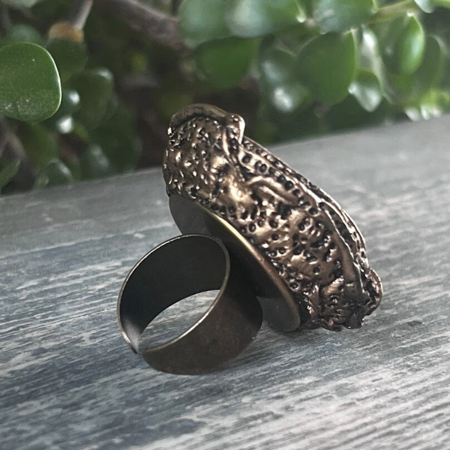 Amber & Ammonite Fossil Ring - Chunky Gemstone Statement Jewelry