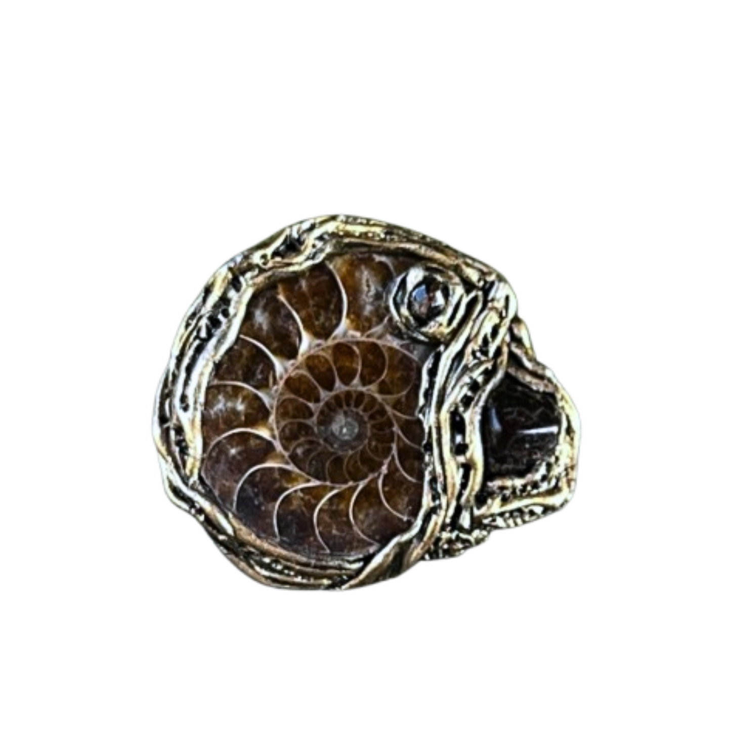 Amber & Ammonite Fossil Ring - Chunky Gemstone Statement Jewelry