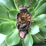 Ammonite Fossil, Carnelian & Sunstone Crystal Pendant - Vitality Talisman