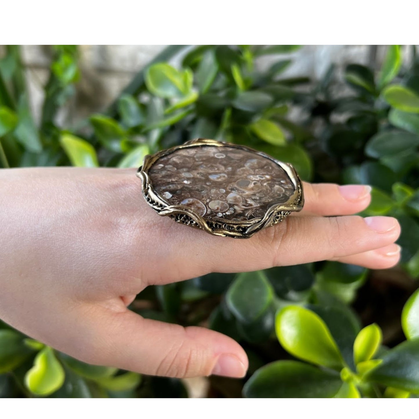 Huge round Turritella Agate ring, Big chunky stone ring, good luck ring